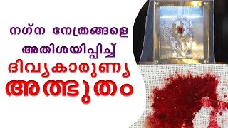 നഗ്ന നേത്രങ്ങൾ അതിശയിപ്പിച്ച് ദിവ്യകാരുണ്യ അത്ഭുതം