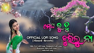 Megha Ru Tu Jharilu Naa  ||Lofi Song || Slowed +Reverb || Odia Lofi Song || Lofi Zone