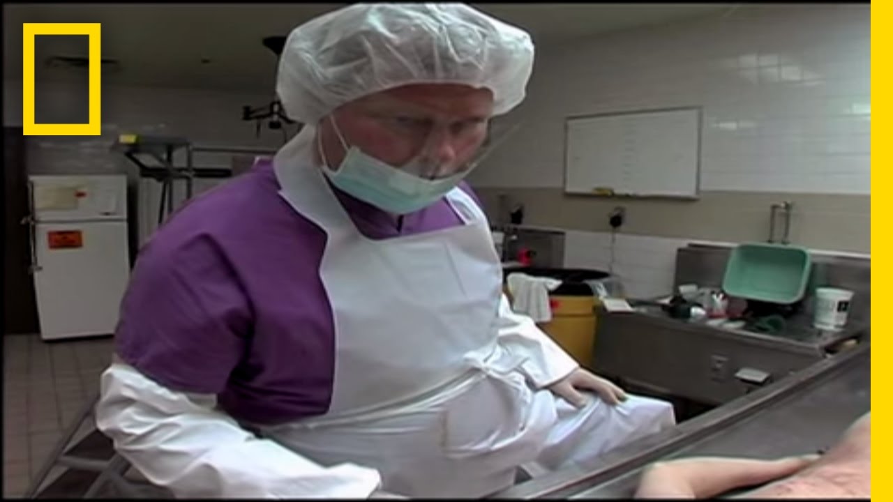 Crime Autopsy | Real Life CSI - YouTube