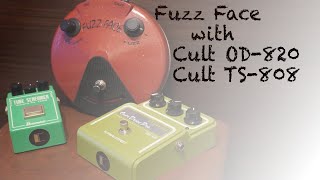 【Fuzz Face and Cult OD-820 , Cult TS-808】簡単レビューファズフェイスをCULT製品でブーストしてみる