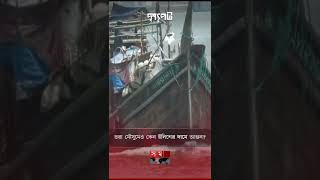 ভরা মৌসুমে কেন আগুন ইলিশের দামে? #shorts #hilshafish #ilishmaach #somoytv