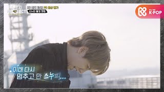 시간이 지날수록 지쳐가는 스누피.. 결국 촬영 중단? l #CTO프로젝트 l EP.5