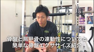 骨盤と肩甲骨の連動性についてと簡単な骨盤エクササイズ紹介