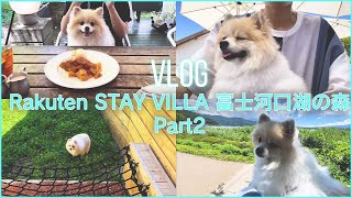 【Vlog】Rakuten STAY VILLA 富士河口湖の森に愛犬ポメラニアンと泊まってきました（Part2）