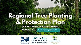 Introducing the Regional Tree Planting & Protection Plan