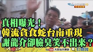 【精彩】真相曝光！韓流貪食蛇台南重現　謝龍介卻臉臭笑不出來！？