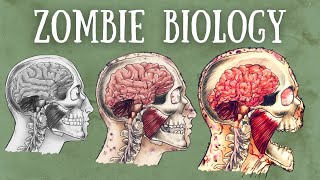 Zombie Biology Explained | The Science of Zombism