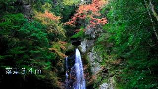 長沢の滝（高知県津野町）　Nagasawa Waterfalls（Kochi,Japan）