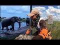 Escape Botswana wild animal in national park🇧🇼 /Africa 56