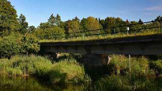 Białowieża Kosy Most Wieża Widokowa