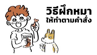 วิธีฝึกหมาให้ทำตามคำสั่ง