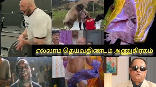 நாம முக்கியமாக சாப்பிடக்கூடாத உணவு எது தெரியுமா....!#milk