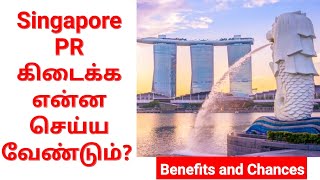 தற்போது சிங்கப்பூரில் PR கிடைக்குமா? How to get Singapore PR? Documents, Procedure, Fees, Approval