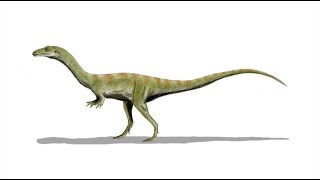 Shuvosaurus: The Dinosaur That Never Was