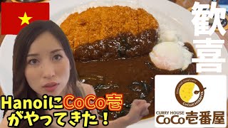 【ハノイ生活 #36】ハノイにできた大型商業施設ロッテモールをただ歩いてるだけの動画