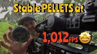 RangeVLOG - We Did It! Cheap Pellets at Slug Speed