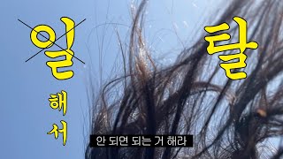 [취준생 브이로그] 취업은 뒷전 놀고 먹기 레전드 | 일상 브이로그 | 부산 여행 브이로그