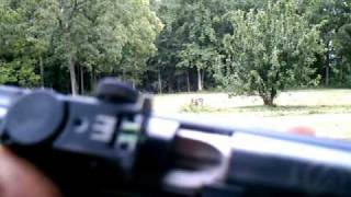 Gamo CFX Pellet Rifle