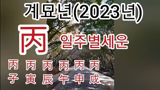 계묘년(2023년)-- 일주별 세운~~병화일주