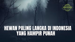 hewan langka di indonesia yang hampir punah