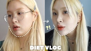 DIET VLOG 운동없이 정체기 탈출하기❗️