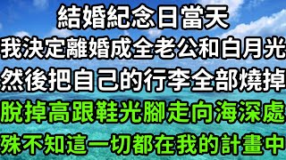 結婚紀念日當天，我決定離婚成全老公和白月光，然後把自己的行李全部燒掉，脫掉高跟鞋光腳走向海深處，殊不知這一切都在我的計畫中！#枫林晚霞#中老年幸福人生#為人處世#生活經驗#情感故事#花开富贵