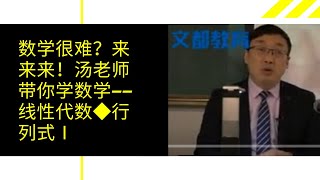 数学很难？来来来！汤老师带你学数学——线性代数◆行列式Ⅰ