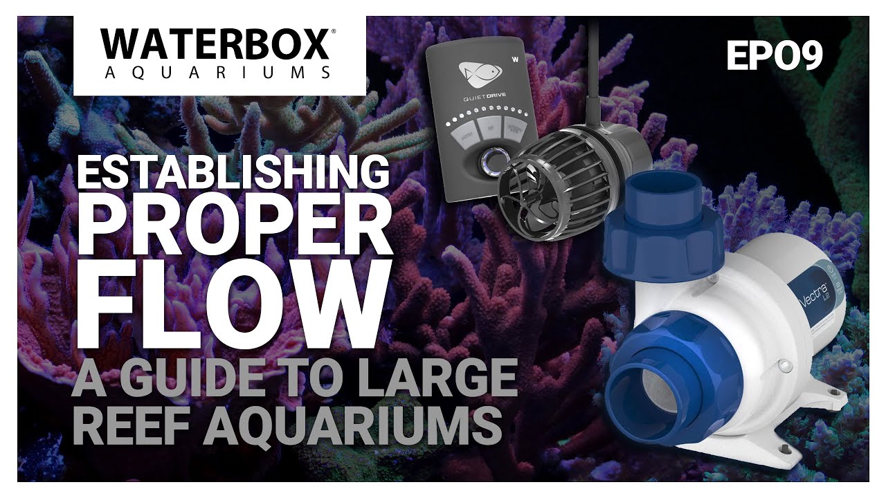 Establishing Proper Flow With Return Pump And Wave Pump Youtube