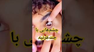 چشم هایی با چند قرنیه !