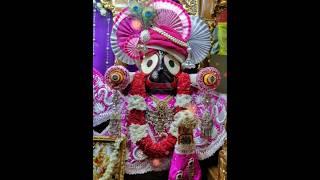 ସଜେଇବୁ ନାହିଁ ବଉଳ ମାଳ ଆଖି ମୋର #purijagannath #jayjagannathpuri