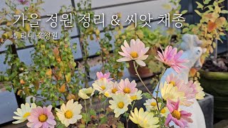 가을 정원 정리 & 씨앗채종