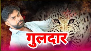 गुलदार Guldar || new video Actor Ishwar Sharan||2024