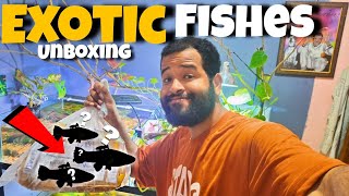 Unboxing EXOTIC FISHES for my PLANTED Tank