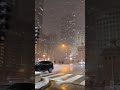 chicago ❤️ transforms into a stunning masterpiece during snowfall🌨️❄️😍✨.