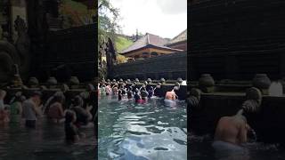 Melukat di Pura Tirta Empul Tampak Siring Bali #bali #purification #relaxing #healing #viral #shorts