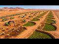 How Millions of Half Moon Pits are STOPPING the Sahara from Devouring Africa