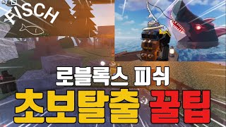 로블록스 피쉬 초보자 가이드 꿀팁!