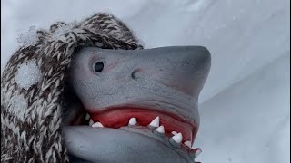 SHARK PUPPETS SNOWBALL FIGHT!!!!!