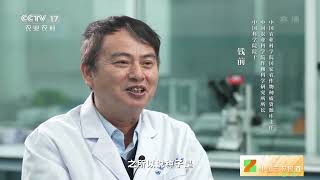 [中国三农报道]种业振兴 农安天下 国家农作物种质库：种子的“生命之舟”|农业致富经 Agriculture And Farming