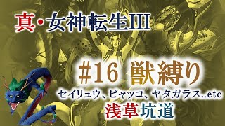 【獣縛り】真・女神転生IIIノクターンHDリマスター #16（浅草坑道とレベリング）