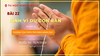 Buổi 96 Tu Học Kinh Nikaya:  BÀI 22 KINH VÍ DỤ CON RẮN (P6)  - 15/9/2024