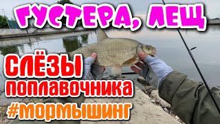 #46 СЛЁЗЫ Поплавочника | ЛЕЩ + ГУСТЕРА | #мормышинг