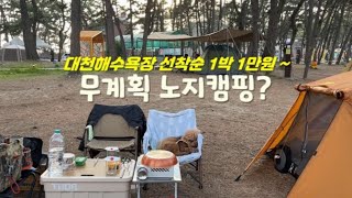 대천해수욕장에서 노지 캠핑❓예약 안 되요! 텐트 먼저 피칭하세요❗️1박 1만원부터~🐶애견동반캠핑ㅣ대천해수욕장국민여가