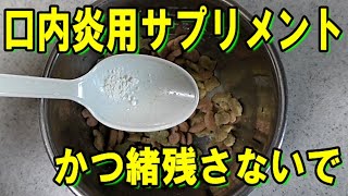 野良猫かつ緒のお口改善　口内炎用のサプリメントを買いました　結構なお値段するのね