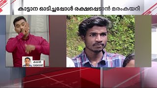 കാട്ടാനയോടിച്ചപ്പോള്‍ ഭയന്ന് മരത്തില്‍ കയറിയ യുവാവ് വീണുമരിച്ചു | Mathrubhumi News