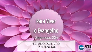 Para viver o Evangelho 147 - Retrospectiva do livro \