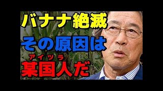 【武田鉄矢】歴史を捏造する韓国、彼らが真相を直視できない理由とは【今朝の三枚おろし】武田鉄彦CH