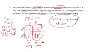 Solving Genetics Problems Tutorial