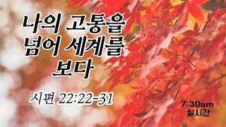 [본문중심의 아침묵상] 20211105(금) l 나의 고통을 넘어 세계를 보다(시 22:22-31).