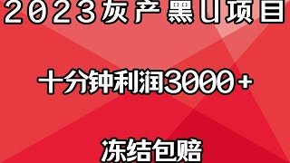 最新2023年网赚教程灰产项目，零风险日赚3000+无投资，十分钟就可以赚到钱。网络兼职跑货跑分平台安全可靠！冻结包赔！